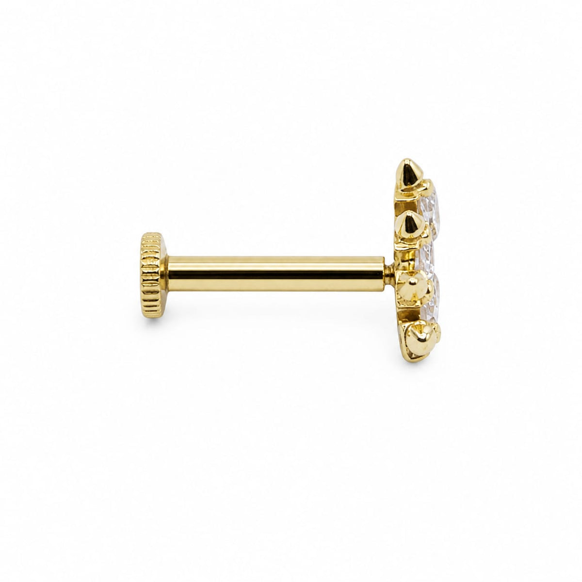 Piercing Coron