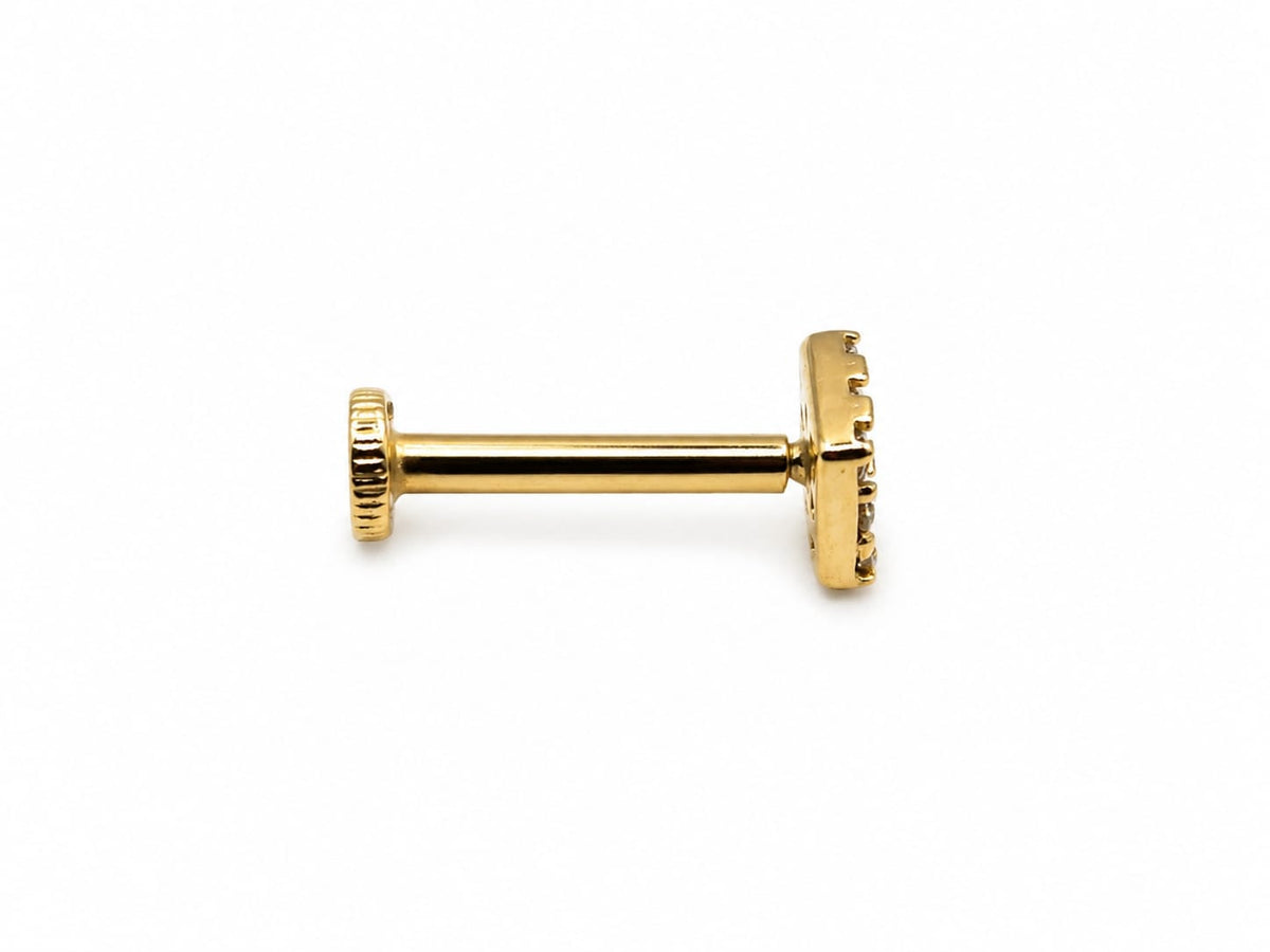 Piercing Cuadro